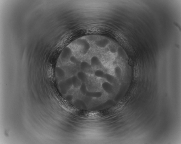 X0000100330173200806261311