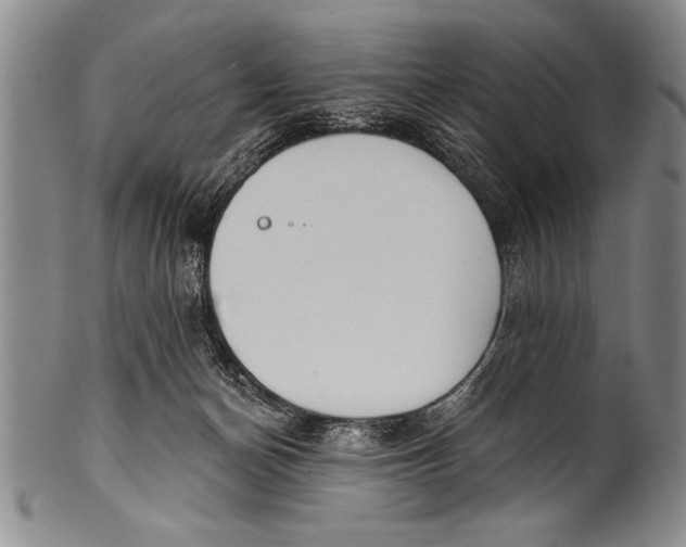 X0000100330174200806261311