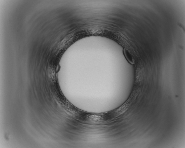 X0000100330176200806261311