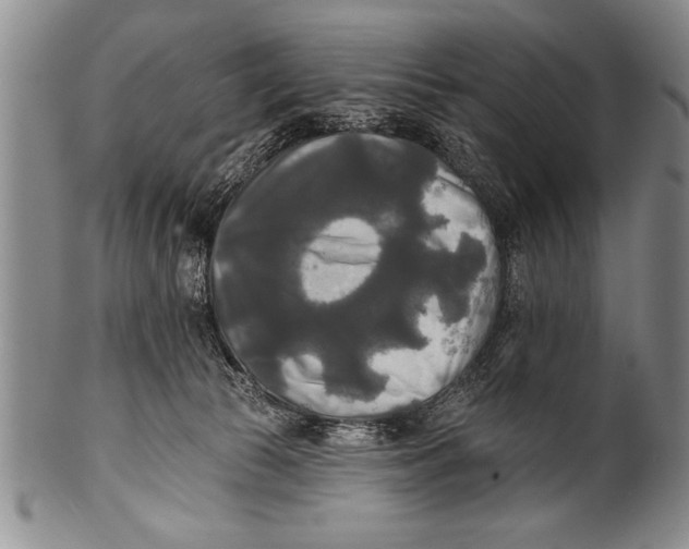 X0000100330177200806261311