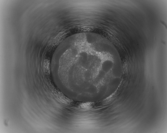 X0000100330178200806261311