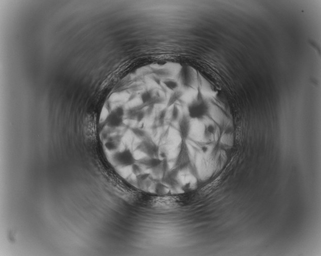 X0000100330179200806261311