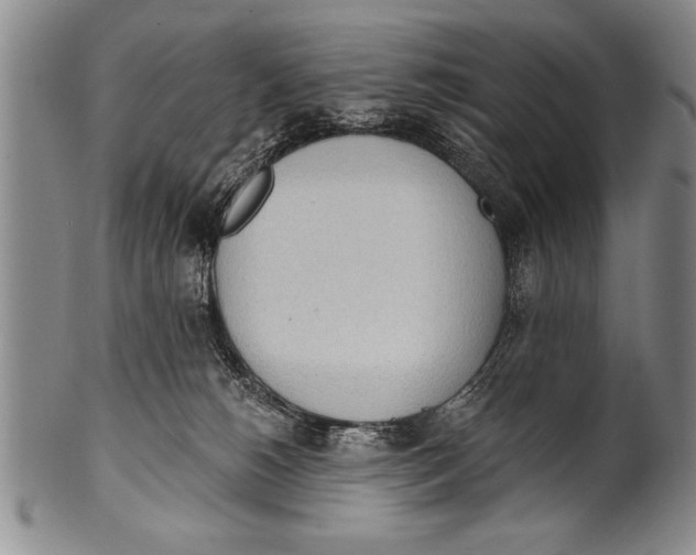 X0000100330180200806261311