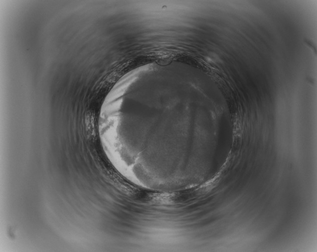 X0000100330182200806261311