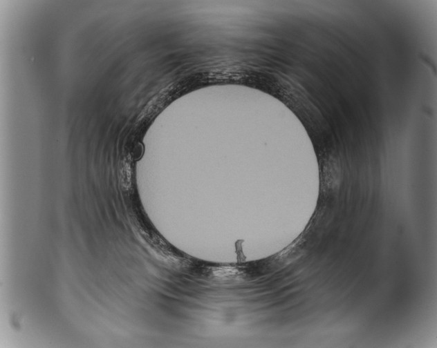 X0000100330183200806261311