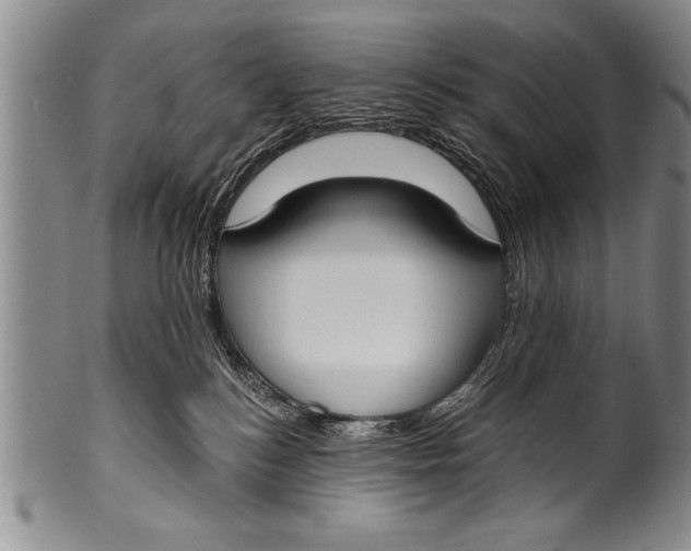 X0000100330184200806261311