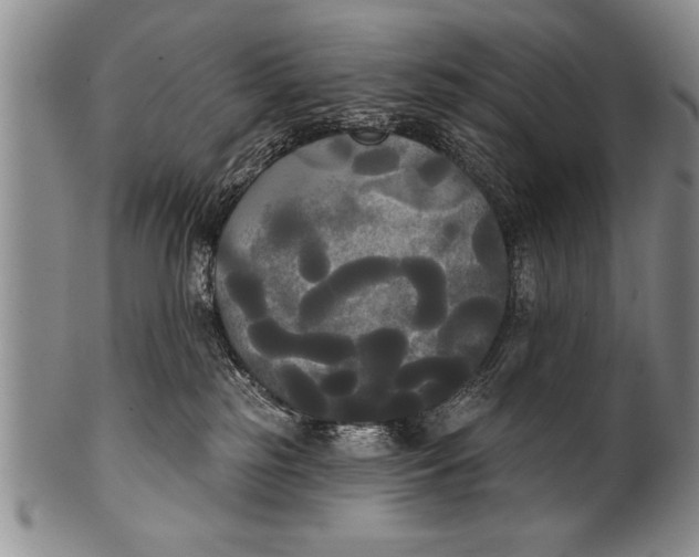 X0000100330185200806261311