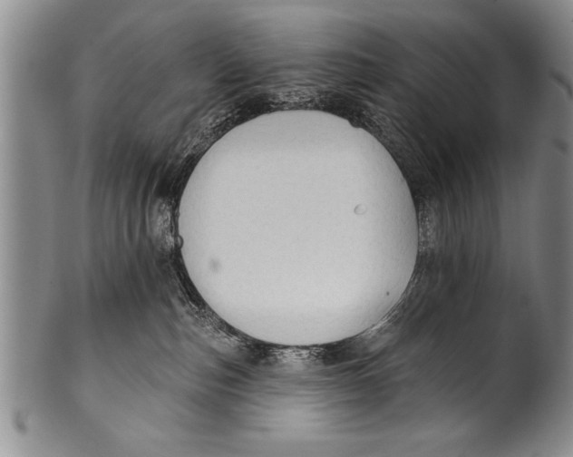 X0000100330187200806261311