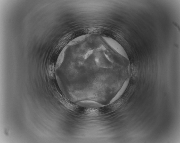 X0000100330189200806261311