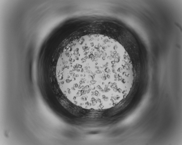 X0000100330190200806261311