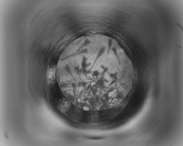 X0000100330191200806261311