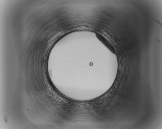 X0000100330193200806261310