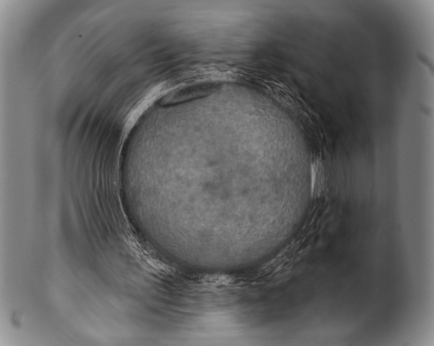 X0000100330195200806261310