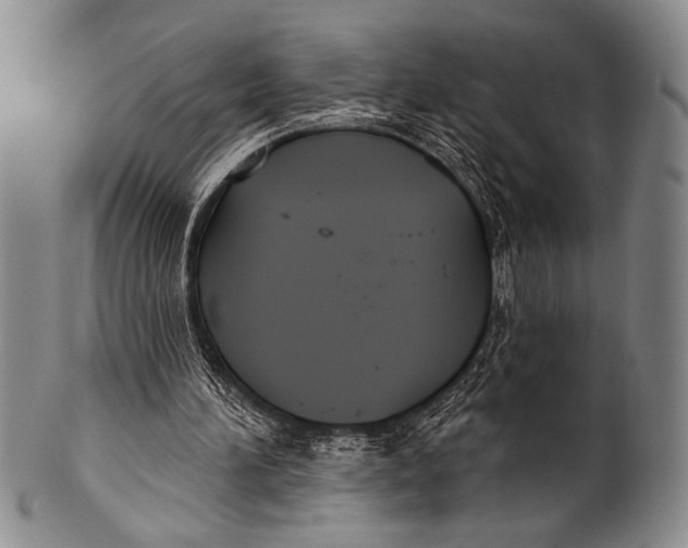 X0000100330196200806261310