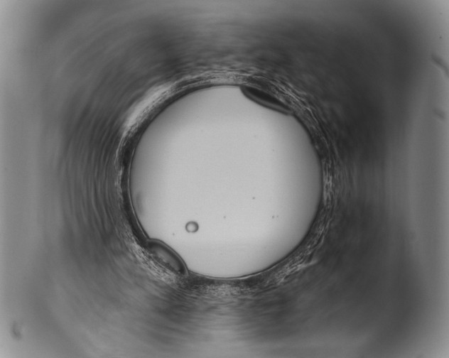 X0000100330197200806261310