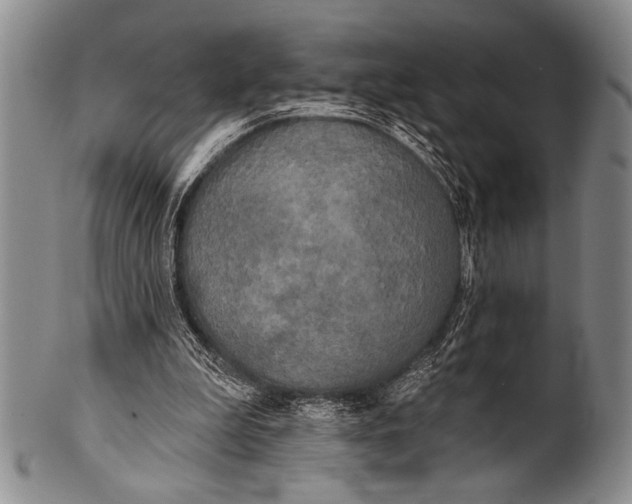 X0000100330199200806261310