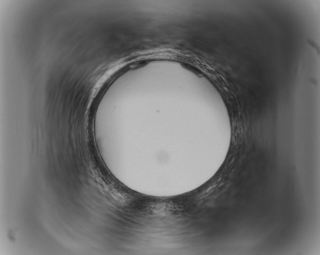 X0000100330200200806261310