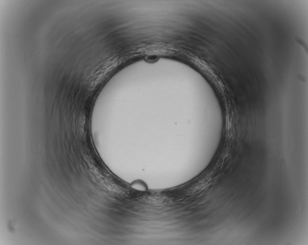 X0000100330201200806261310