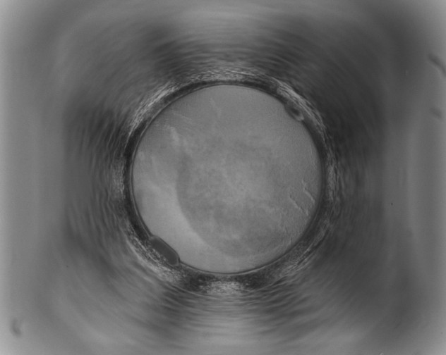 X0000100330203200806261310