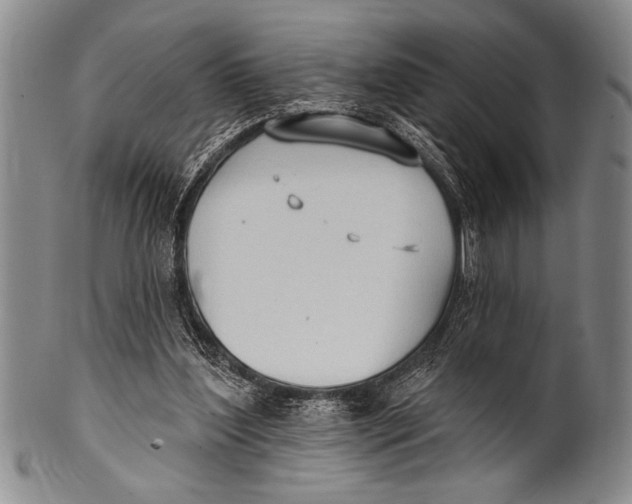 X0000100330204200806261310