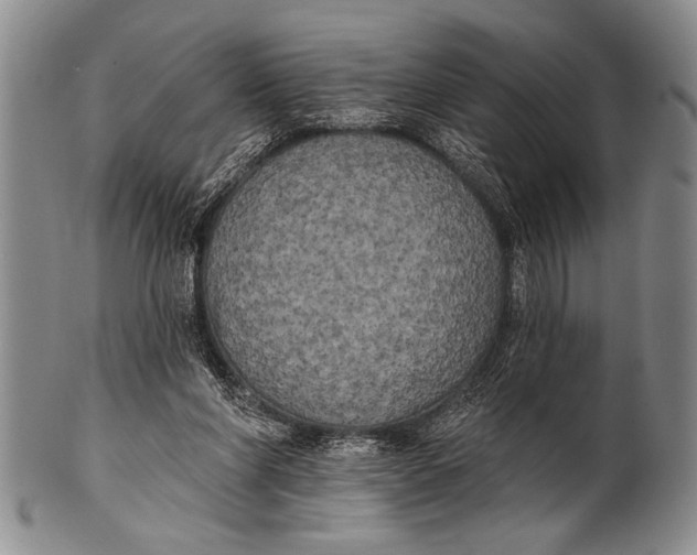 X0000100330206200806261310