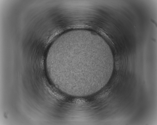 X0000100330207200806261310