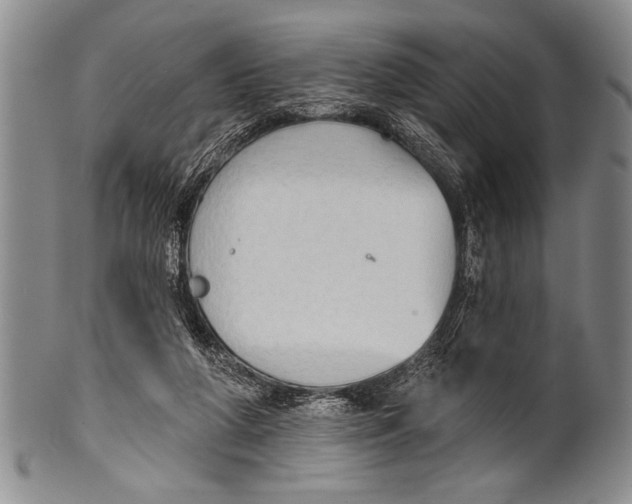 X0000100330210200806261310