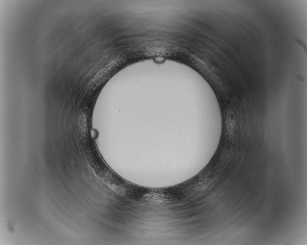 X0000100330211200806261310