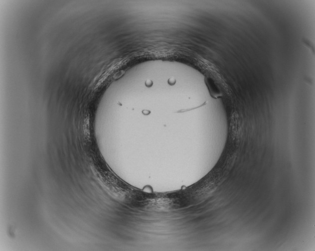 X0000100330212200806261310