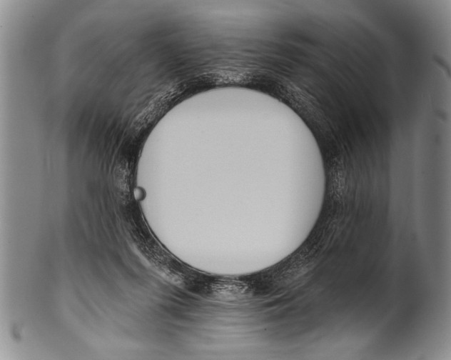 X0000100330215200806261310