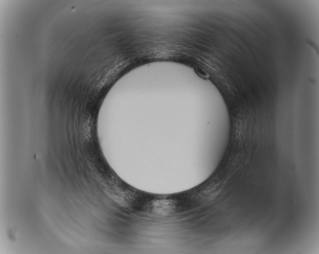 X0000100330216200806261310