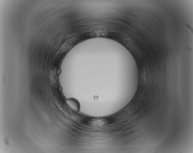 X0000100330218200806261310