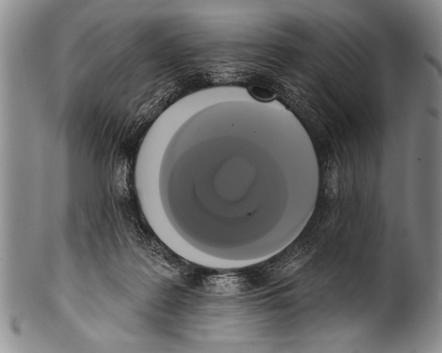 X0000100330219200806261310