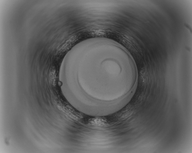 X0000100330223200806261310