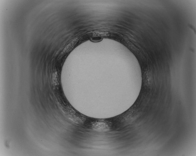 X0000100330224200806261310