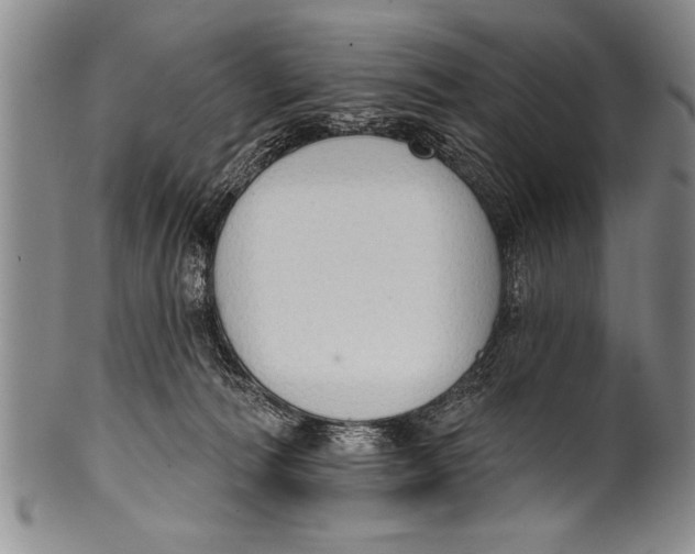 X0000100330226200806261310