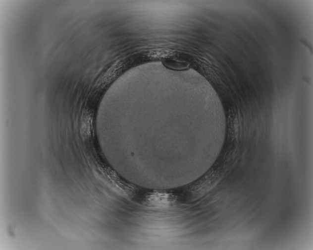 X0000100330227200806261310