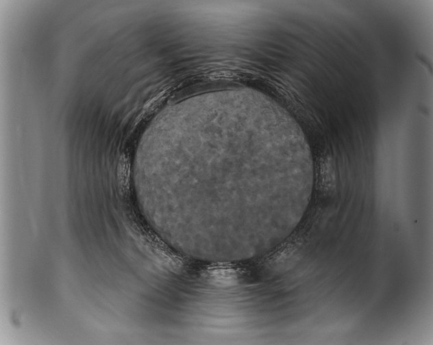 X0000100330228200806261310