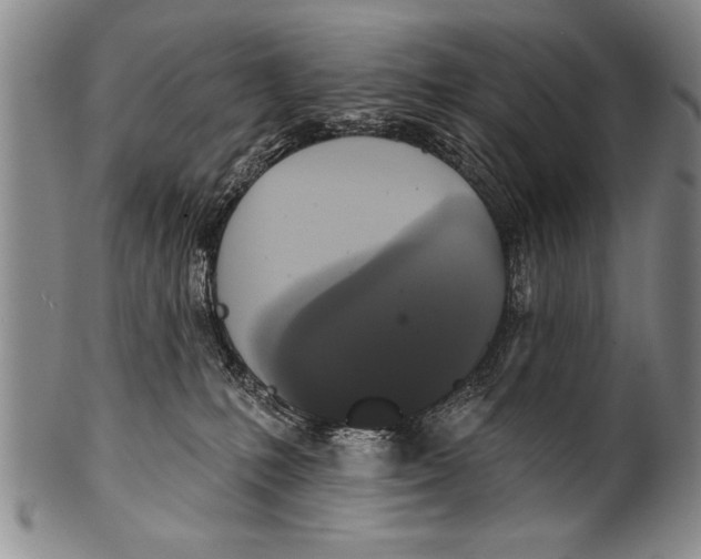 X0000100330231200806261310