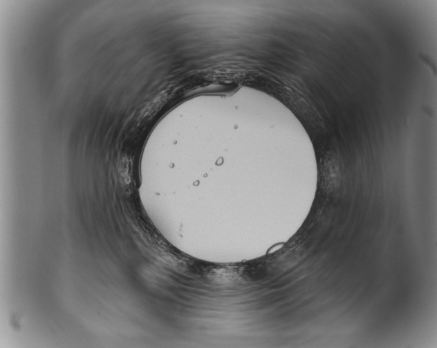 X0000100330232200806261310