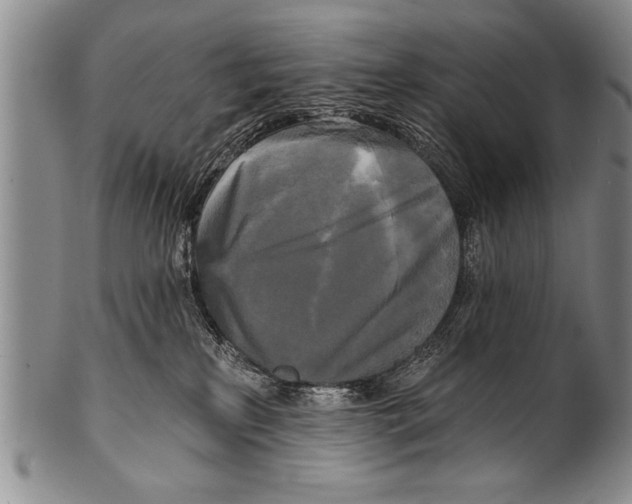 X0000100330233200806261310