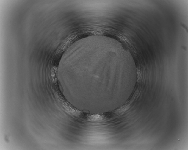 X0000100330237200806261309