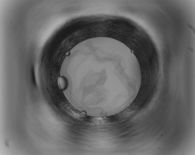 X0000100330239200806261309