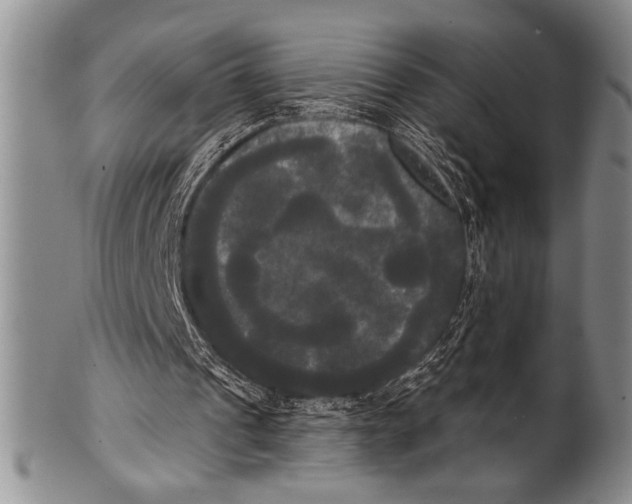 X0000100330241200806261309