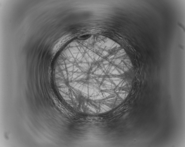 X0000100330242200806261309