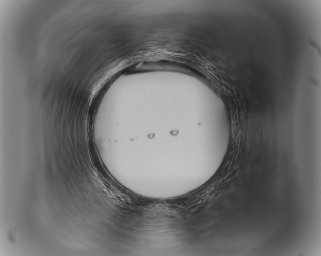 X0000100330244200806261309