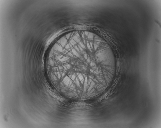 X0000100330246200806261309