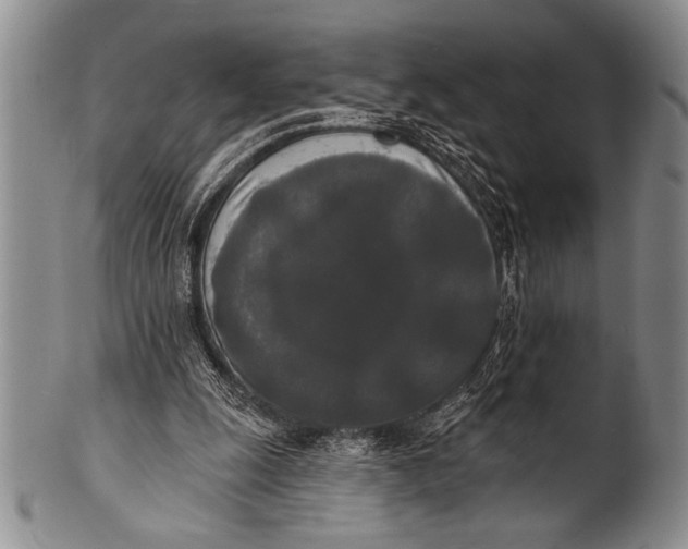 X0000100330247200806261309