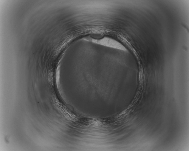 X0000100330249200806261309