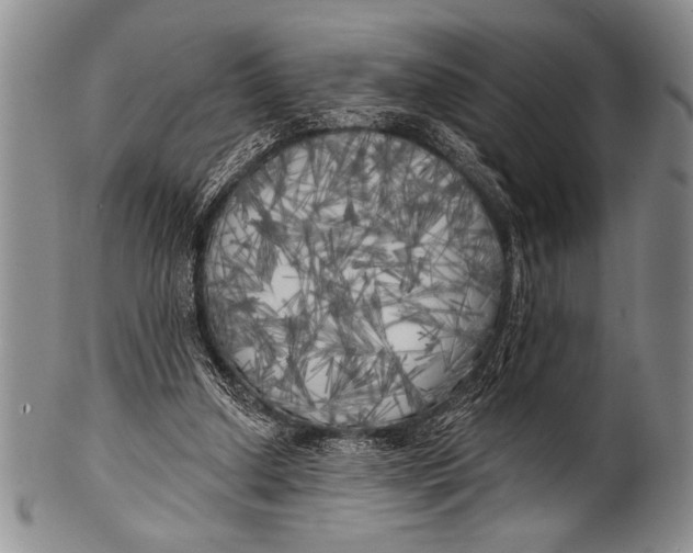 X0000100330250200806261309